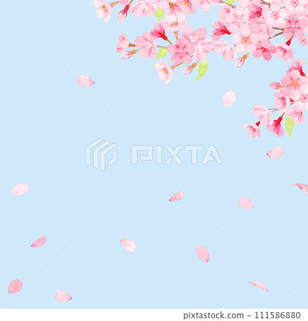 Hand-painted watercolor cherry blossom frame 111586880