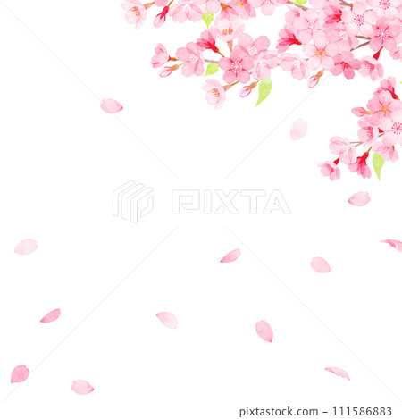 Hand-painted watercolor cherry blossom frame 111586883