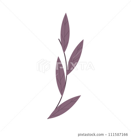 Leaves branch Flat design Vector 111587166