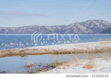 冬季的福島豬苗代湖（青松濱） 111588150