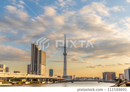 View of the Tokyo Skytree at sunset from Shioiri Park in Tokyo 111588691