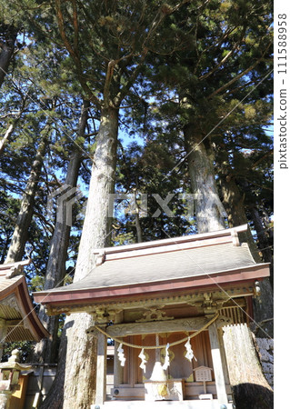 Tamaki Shrine [World Heritage Site “Sacred Sites and Pilgrimage Routes in the Kii Mountains” / Totsukawa Village, Nara Prefecture] 111588958