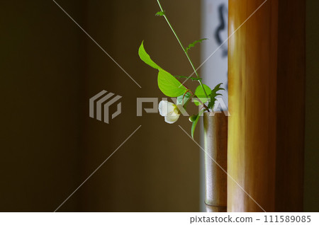 日本複製空間 111589085