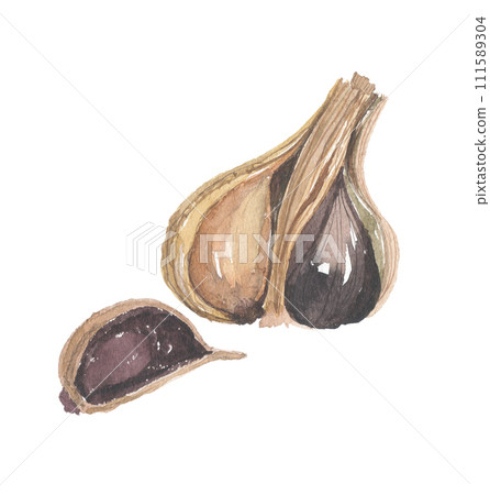 Black garlic painted in watercolor Black garlic painted in watercolor 111589304