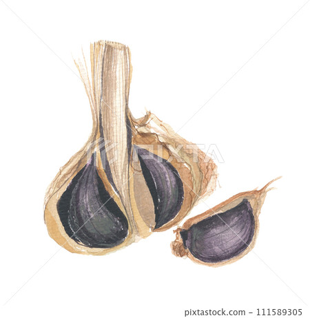 黑蒜畫水彩 111589305