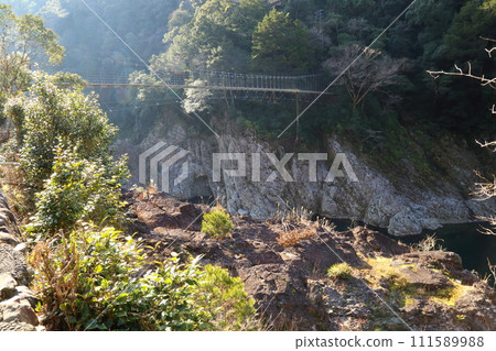 洞羅峽谷「山彥橋」/奈良縣、三重縣、和歌山縣【國家特別名勝吉野熊野國立公園】 洞羅峽谷「山彥橋」/奈良縣、三重縣、和歌山縣【國家特別名勝吉野熊野國立公園】 111589988