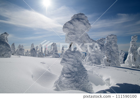 秋田縣森吉山的霜凍樹木 111590100