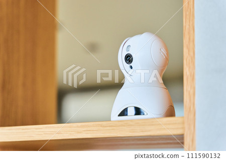 A web camera installed indoors that takes pictures, records, and monitors the room to watch over pets, babies, and children, and also to prevent crime. 111590132