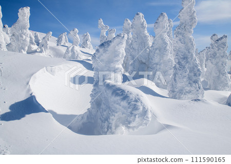 秋田縣森吉山,冬季天氣晴朗,樹木被霜覆蓋 秋田縣森吉山,冬季天氣晴朗,樹木被霜覆蓋 111590165