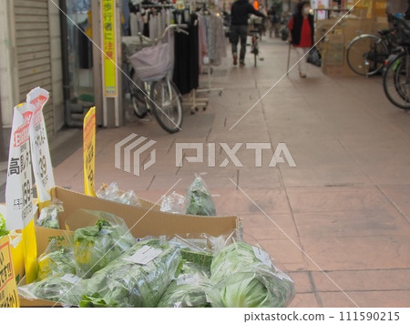 Downtown shopping street (greengrocer storefront) 111590215