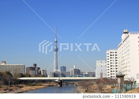 從前中川看到的晴空塔，城市景觀，春天 111590919