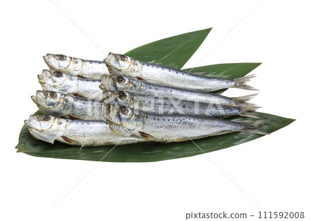 Whole dried sardines_13 (with pass) 111592008