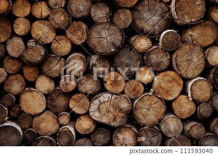 Cross section of tree trunks, timber background.  111593040