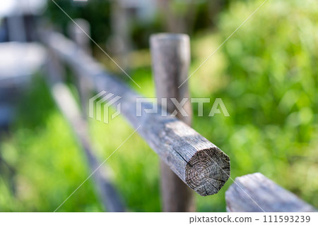 公園圍欄和樹木 公園圍欄和樹木 111593239