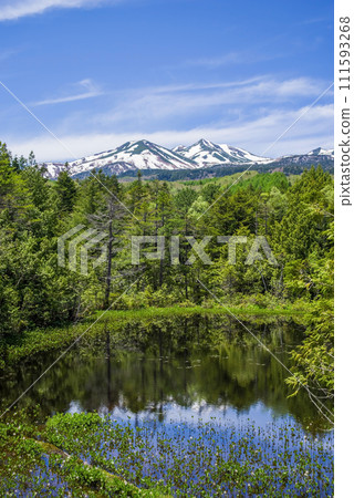 新綠季節的乘鞍高原“牛留池” 新綠季節的乘鞍高原“牛留池” 111593268