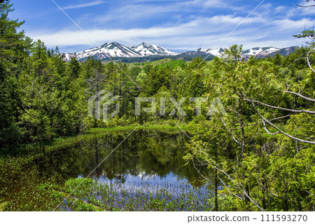 Norikura Highlands “Ushidome Pond” during the fresh green season 111593270