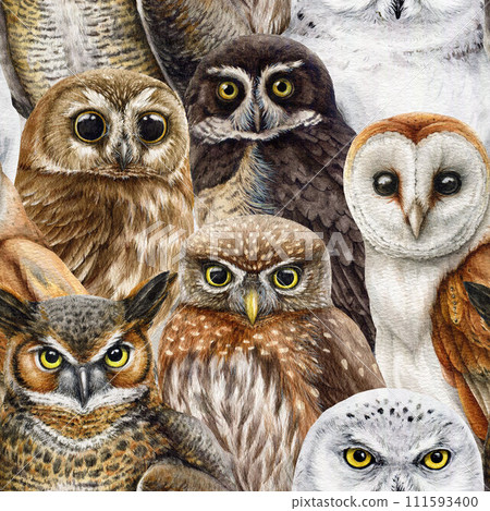 Owl bird seamless pattern. Watercolor painted illustration. Hand drawn different owls seamless pattern. Vintage style realistic illustration. Barn, pigmy, polar, snow owl element images Owl bird seamless pattern. Watercolor painted illustration. Hand drawn different owls seamless pattern. Vintage style realistic illustration. Barn, pigmy, polar, snow owl element images 111593400