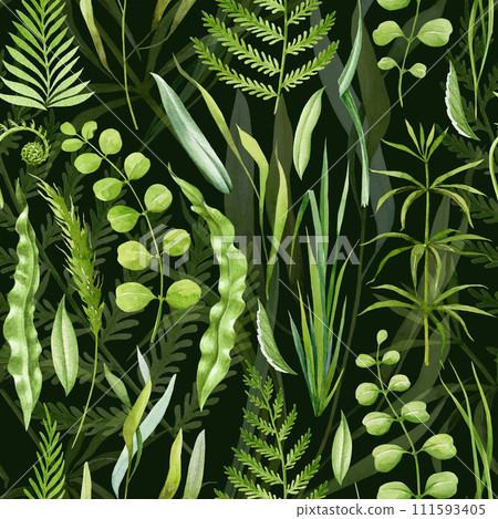 Green lush grass, fern leaves seamless pattern. Watercolor illustration. Hand drawn forest nature decor. Fern, grass, forest herbs, leaves seamless pattern. Lush greenery decor. Dark background 111593405