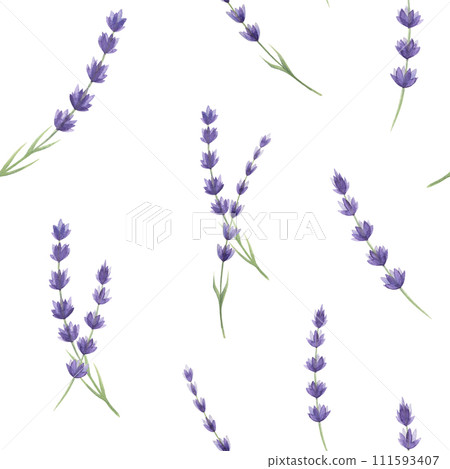Lavender flowers seamless pattern. Watercolor painted illustration. Organic lavandula medicinal herb stems with buds element. Lavender flowers on white background 111593407