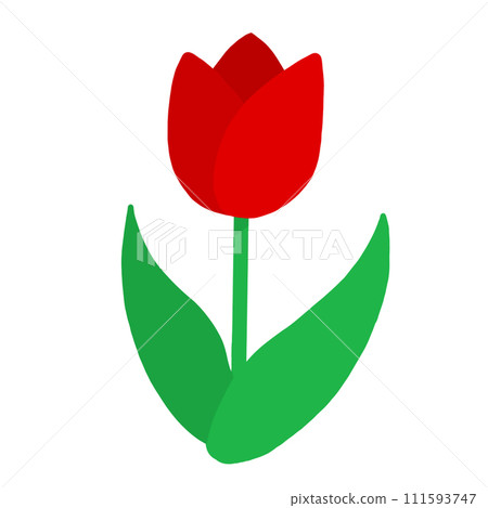 Tulip (red) 111593747