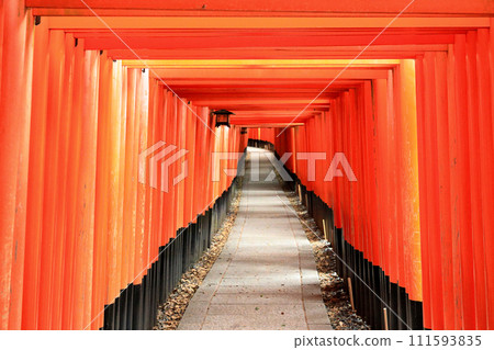 Fushimi Inari Taisha Thousand Torii Gates of Kyoto Inari Shrine Fushimi Inari Taisha Thousand Torii Gates of Kyoto Inari Shrine 111593835