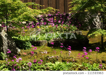 高知屋阿彌陀寺的紅林莊 111593963