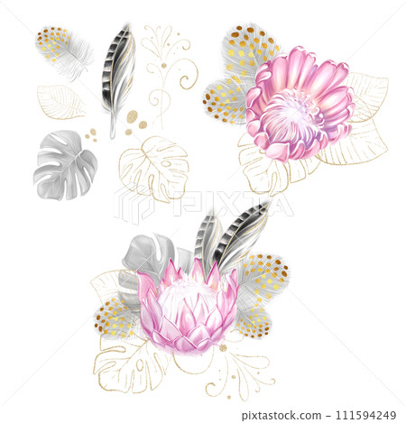 A set of watercolor tropical bouquets of pink protea, golden monstera and black feathers. Romantic flowers. exotic design. luxury clipart. 111594249