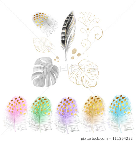 Watercolor clipart with colorful feathers, pheasant feather, golden monstera leaf. Tropical set, romantic design. Luxurious design of invitations. 111594252
