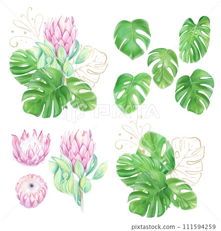 Set of watercolor illustrations, clipart, bouquets with pink protea and tropical monstera leaves. Romantic flowers. Hawaiian design. Exotic clipart. Luxury decor for invitations. Set of watercolor illustrations, clipart, bouquets with pink protea and tropical monstera leaves. Romantic flowers. Hawaiian design. Exotic clipart. Luxury decor for invitations. 111594259