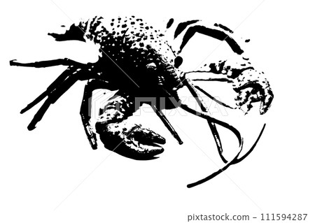 silhouette of lobster shrimp isolated on white background, invertebrate animal 111594287