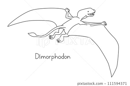 Flying pterosaur Dimorphodon (backwards, line drawing) 111594371