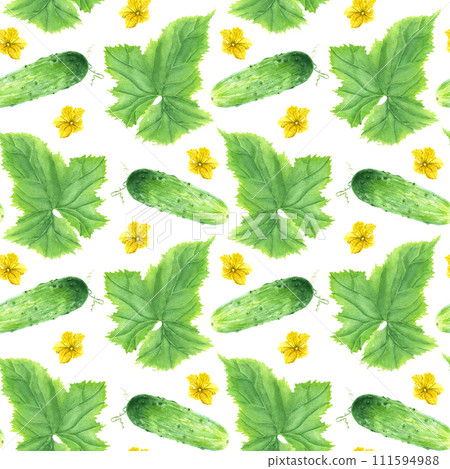 Watercolor seamless pattern with green vegetable cucumber with leaf and flowers. Hand drawn watercolor illustration isolated on white background. For wrapping wallpaper fabric textile 111594988