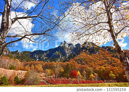 八岳水垣山自然公園 紅葉風景 111595259