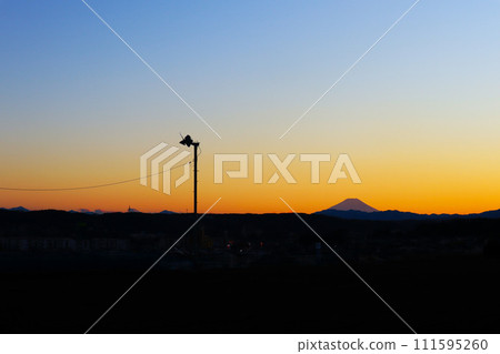 狹山茶園的夜景 111595260