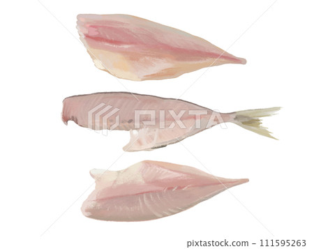 Three pieces of grated fish 111595263