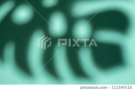 Shadows from monstera leaves Shadows from monstera leaves 111595518