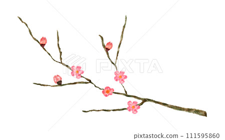 桃花圖 111595860