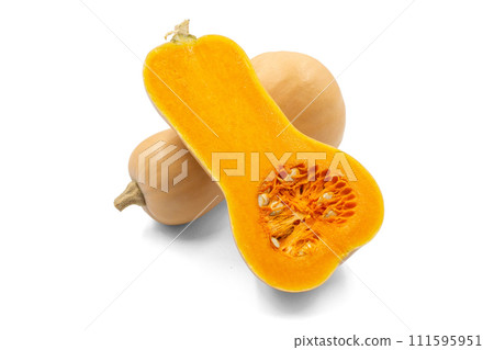 Butternut pumpkin [from Yamagata prefecture] with shadow 111595951