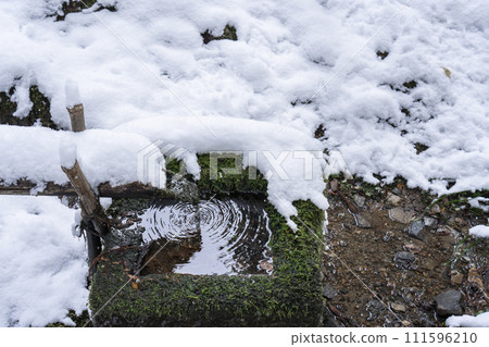 Winter in Kyoto, water spilling from the moss garden of Jakkoin, splashing on the surface of the bamboo basket. 111596210