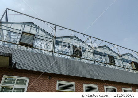 greenhouse 111596563