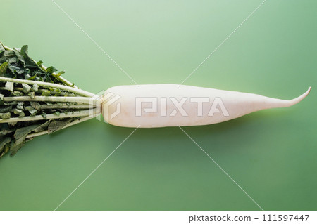 蘿蔔蔬菜 蘿蔔蔬菜 111597447