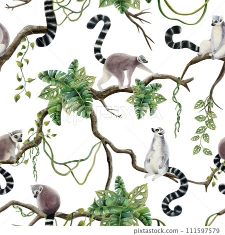 Lemurs on jungle trees with tropical leaves and vines watercolor seamless pattern with Madagascar cute tropical monkeys on branches Lemurs on jungle trees with tropical leaves and vines watercolor seamless pattern with Madagascar cute tropical monkeys on branches 111597579
