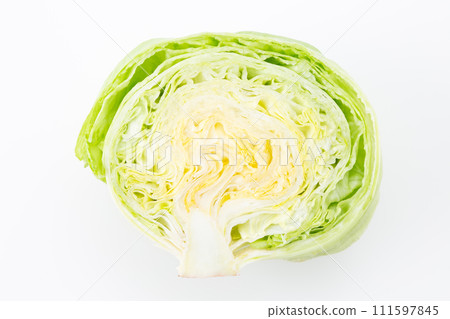 lettuce on white background 111597845
