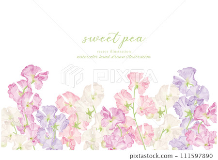 Suitopi 水彩畫插圖背景資料 111597890