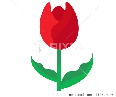 紅色鬱金香。向量圖 111598086