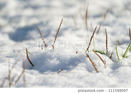 Snow that has fallen Snow that has fallen 111598097