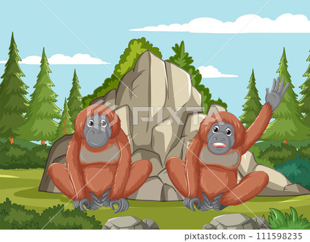 Friendly Orangutans in Forest Clearing 111598235