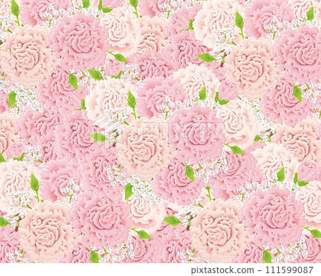 康乃馨3ⅾ插畫背景 111599087