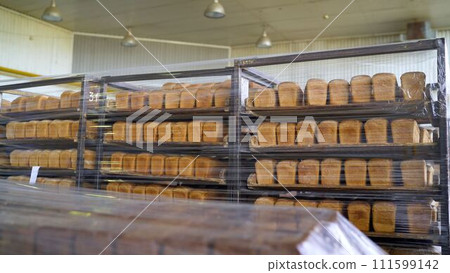 Bread on shelves under cling film. Freshly baked bread trays in a row. The bread is stored in a warehouse. 111599142