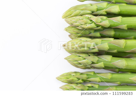 green asparagus on white background 111599283